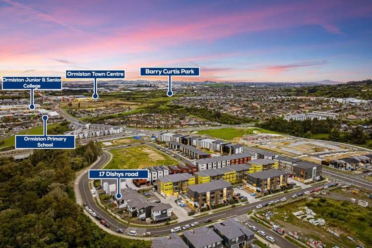 17 Dishys Road Flat Bush_19