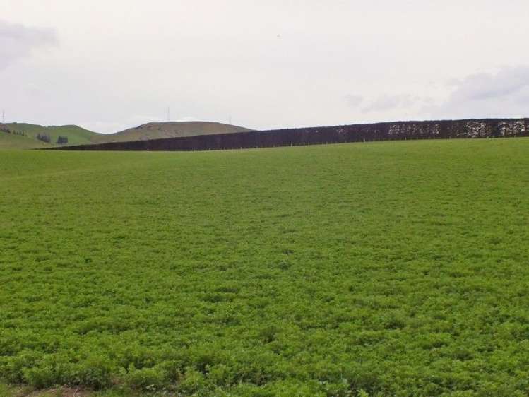 1006 Glenmark Drive Waipara_11