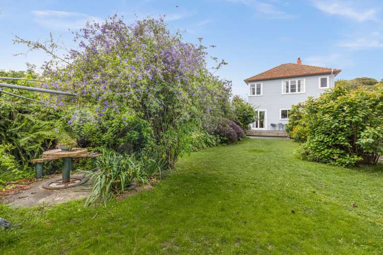 62 Douglas Mclean Avenue Marewa_5