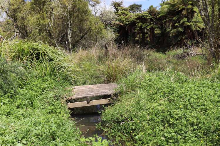 178 Wilton Collieries Road Glen Massey_17