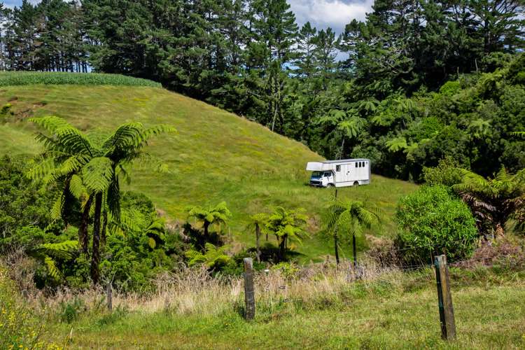 1256 Mangorei Road Mangorei_20