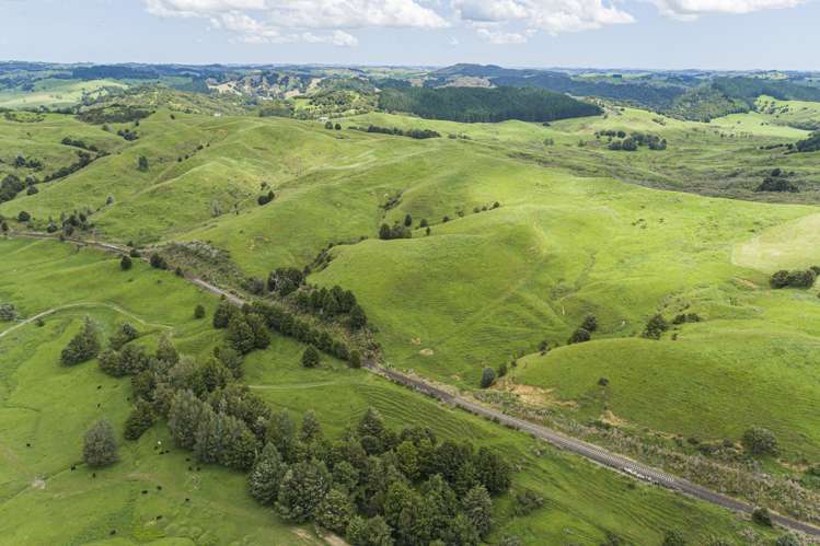 282 Taipuha Station Road Otamatea Surrounds_16