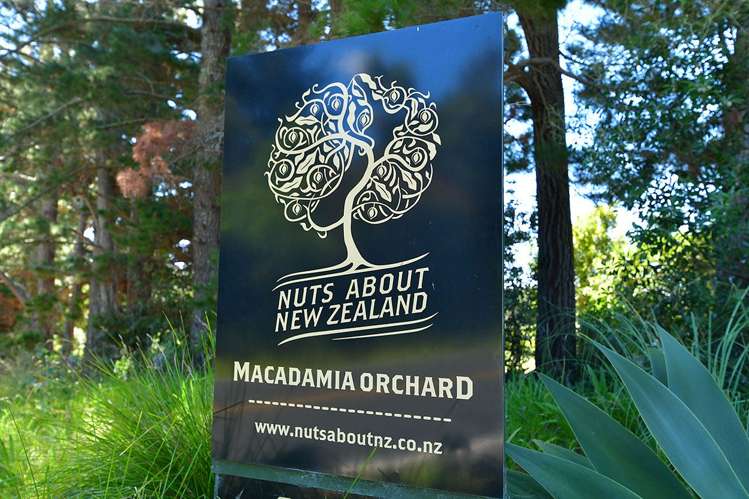 940 South Head Road South Head_30