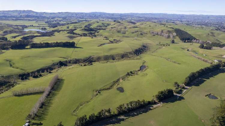 Burnetts Road Masterton_9