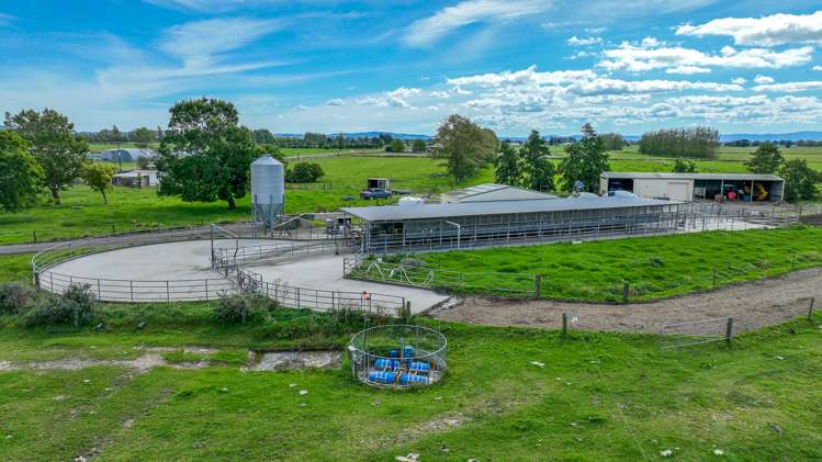 364 Piako Road Turua_7