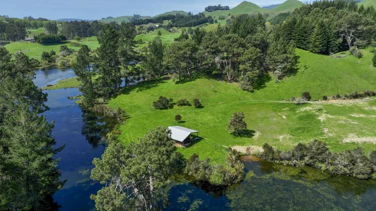 294b Dods Road Waikite Valley_16