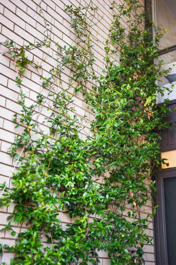 6 Sioux Road Hobsonville_21