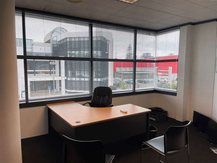 1st Floor/25 Bower Street Napier South_6