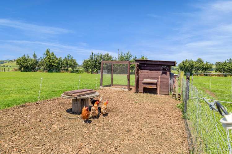 43 Carrs Road Urenui_15