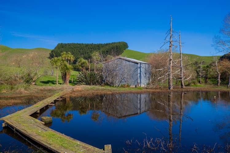 3629 State Highway 2 and Coxhead Road Mangatarata_5