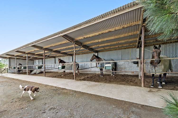 139 Harmans Road Leeston_22