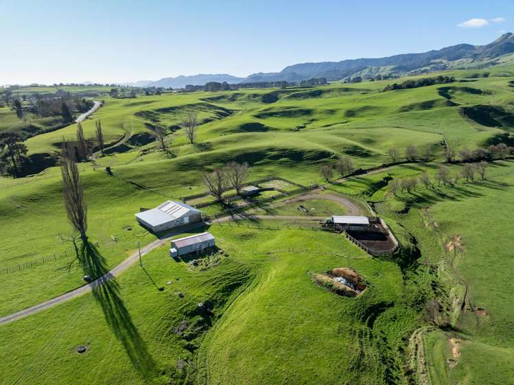 134 Old Te Aroha Road Te Poi_7