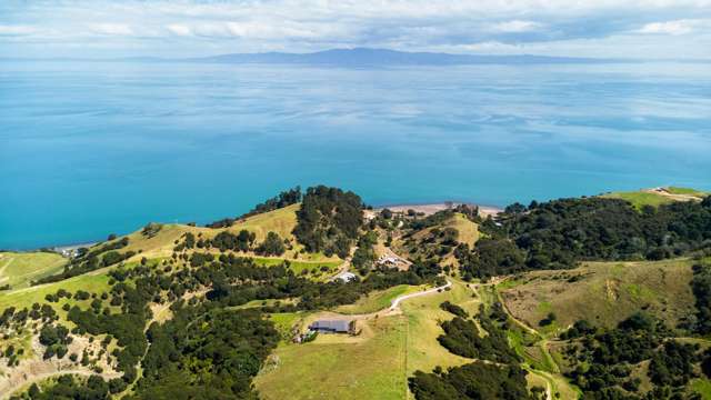 Coromandel Coastal Beauty