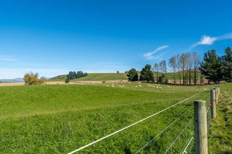 228 O'Neills Road Fairlie_19