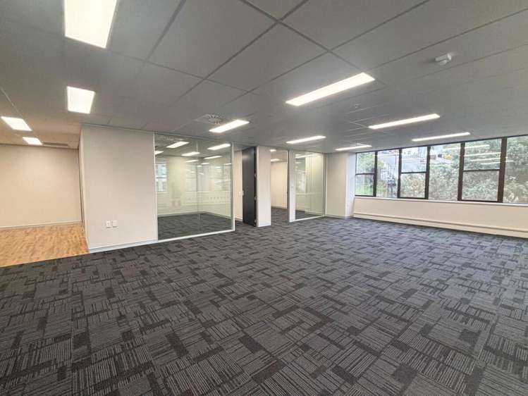 11 Aurora Terrace Wellington Central_3