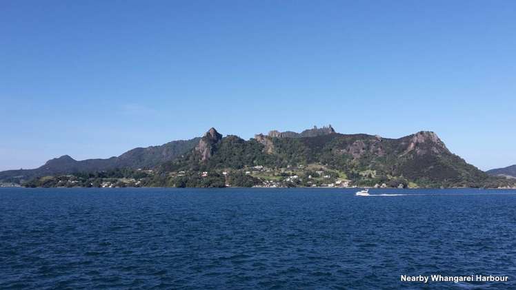 5 Roto View One Tree Point_17