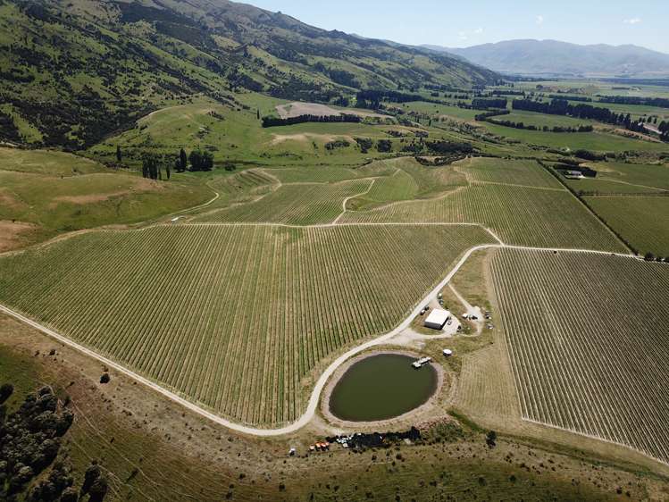 Luggate-Cromwell Road Queensberry_3