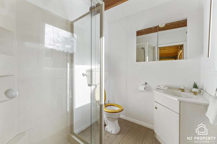 486 North Road Normanby_27