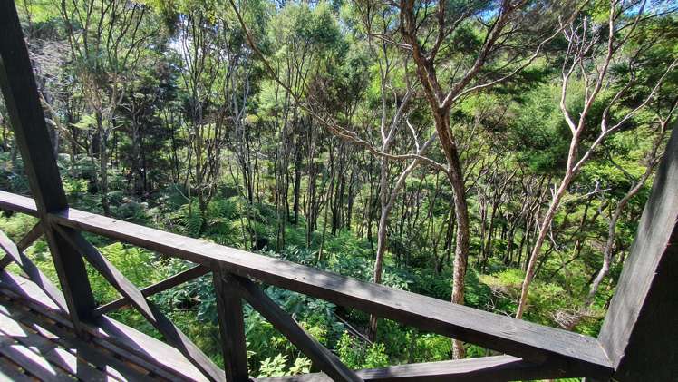 48 Schoolhouse Bay Road Kawau Island_13