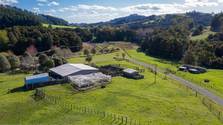 6 Millett Road Whangaripo_9