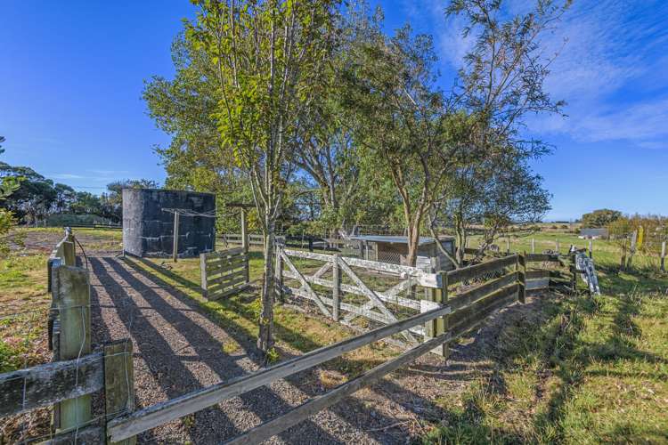 2915 State Highway 1 Sanson_13