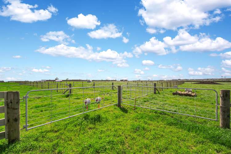 347 Inland North Road Tikorangi_16