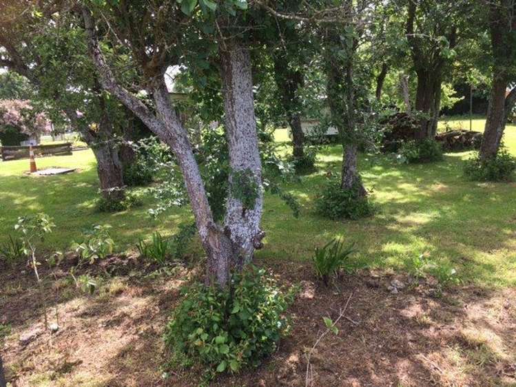 53 Blaydon Street Waikaia_1