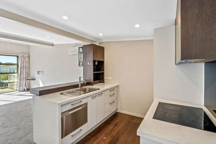 66f Maclaggan Street Dunedin Central_9