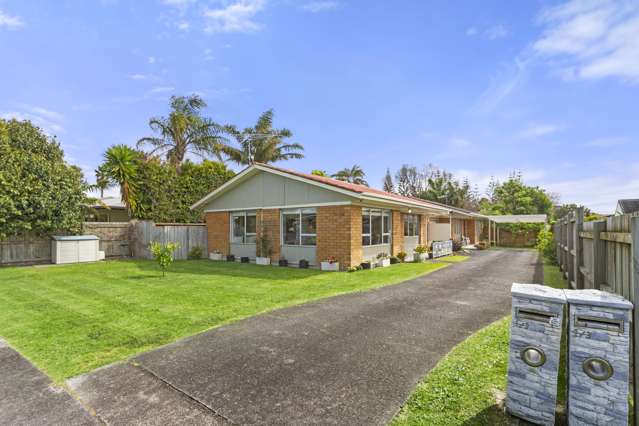 1/3 Papatahi Place Henderson_2