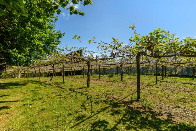 566 Belk Road Kaimai_14