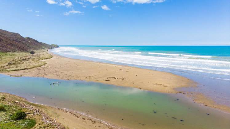 3428 Pourerere Beach Road Central Hawkes Bay Coastal_16