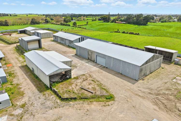 34 Oturi Road Waverley_5