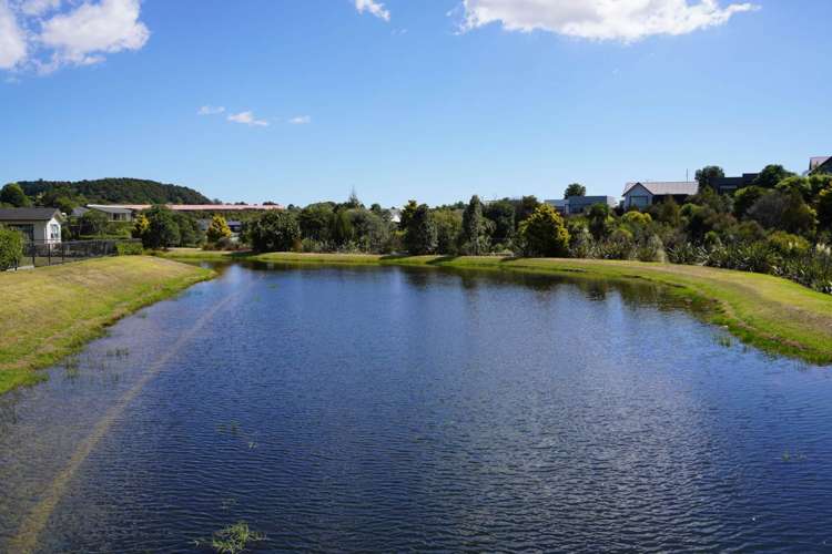 61 Taukahiwi Road Pukekohe_15