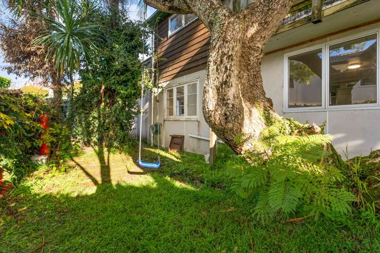 23 McArthur Avenue St Heliers_19