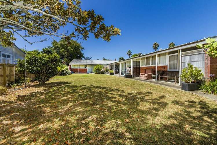 4/6 North Avenue Narrow Neck_2