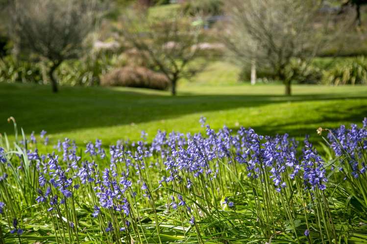 1585 Poihipi Road Oruanui_36