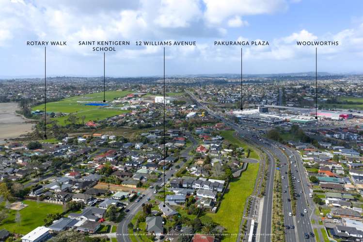 12 Williams Avenue Pakuranga_14