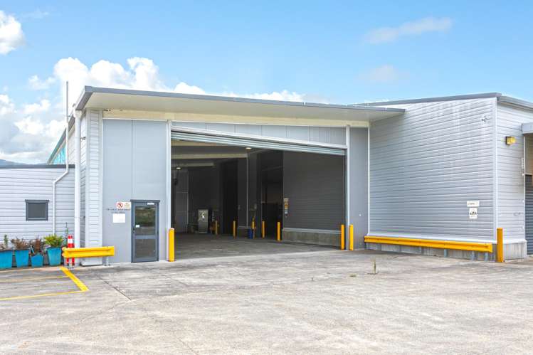 34/38 Domain Road Putaruru_5