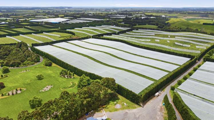 80 Roydon Downs Road Paengaroa_6