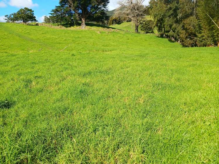 Larmer Road Kaitaia_12