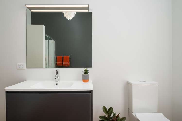 103 Hall Street Whataupoko_13