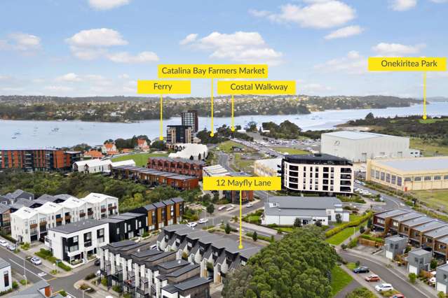 12 Mayfly Lane Hobsonville_2