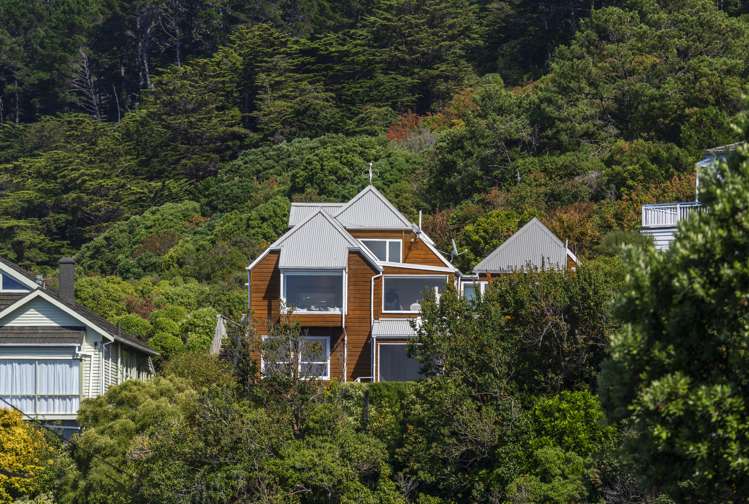 22b Orchard Street Wadestown_10