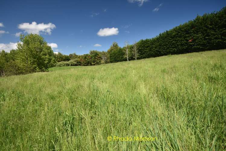 245 Metcalfe Road Matakohe_20