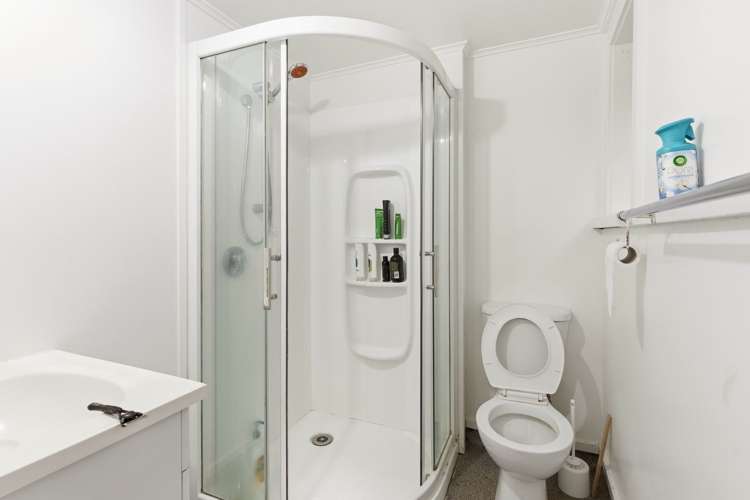 147 Queen Street North Dunedin_11