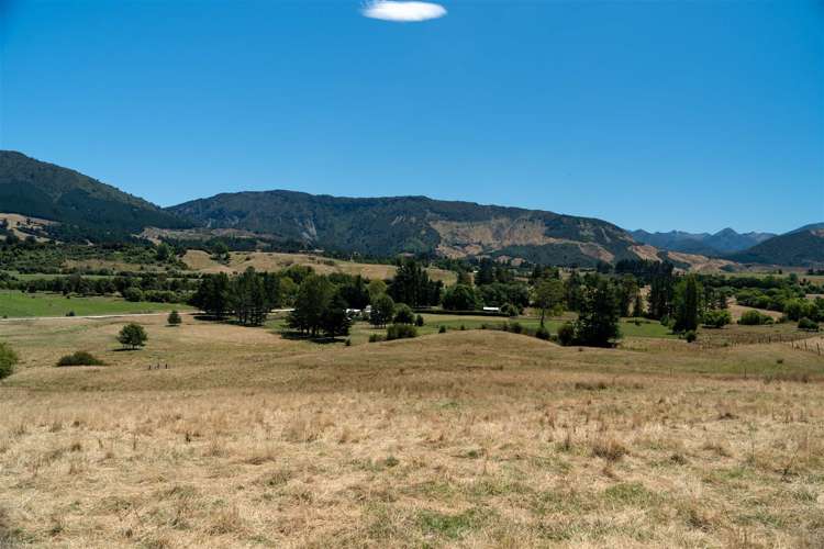 Tadmor-Bushend Road Tapawera_8