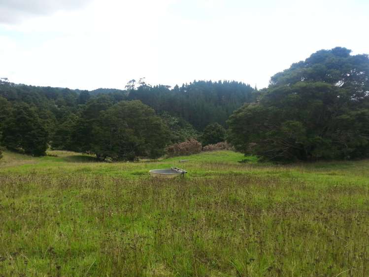 2568a Paparoa-Oakleigh Road Paparoa_10