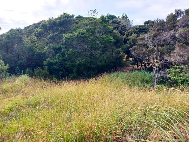 104 Stratford Drive Cable Bay_18