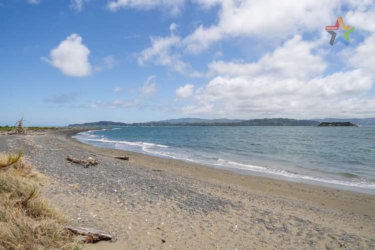 18 Kauri Street Miramar_22