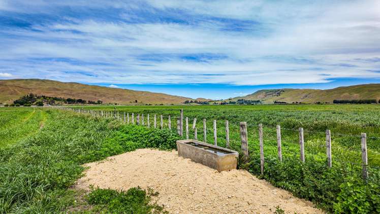 85 West Road Havelock North_14